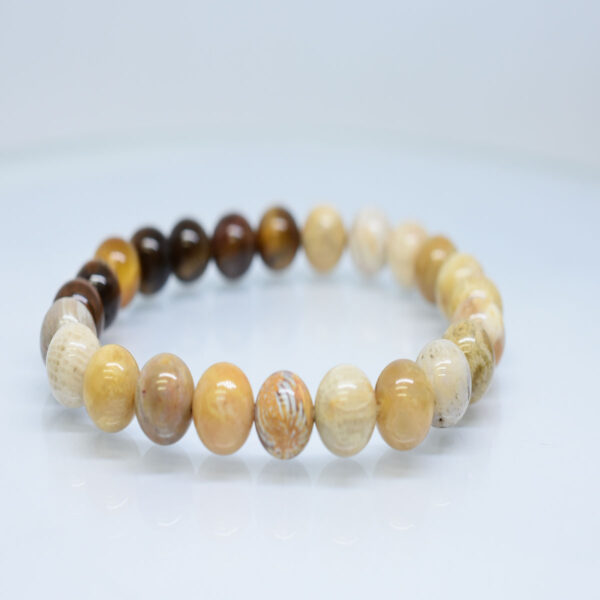 Fossil Coral Gemstone Round Healing Bracelet For Youngsters