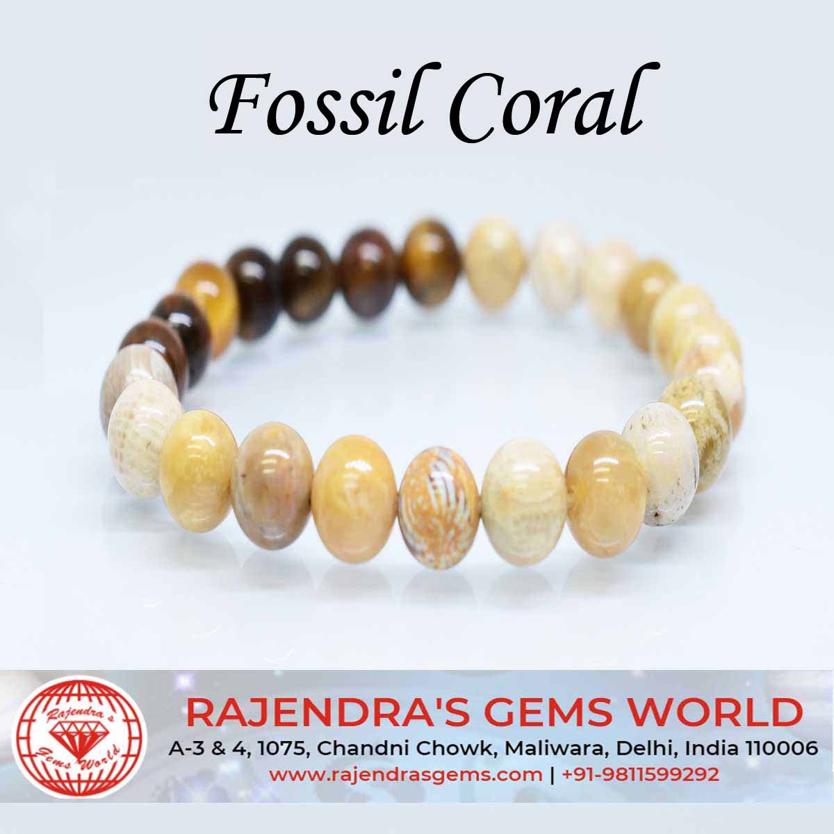 Fossil Coral Gemstone Round Healing Bracelet For Youngsters