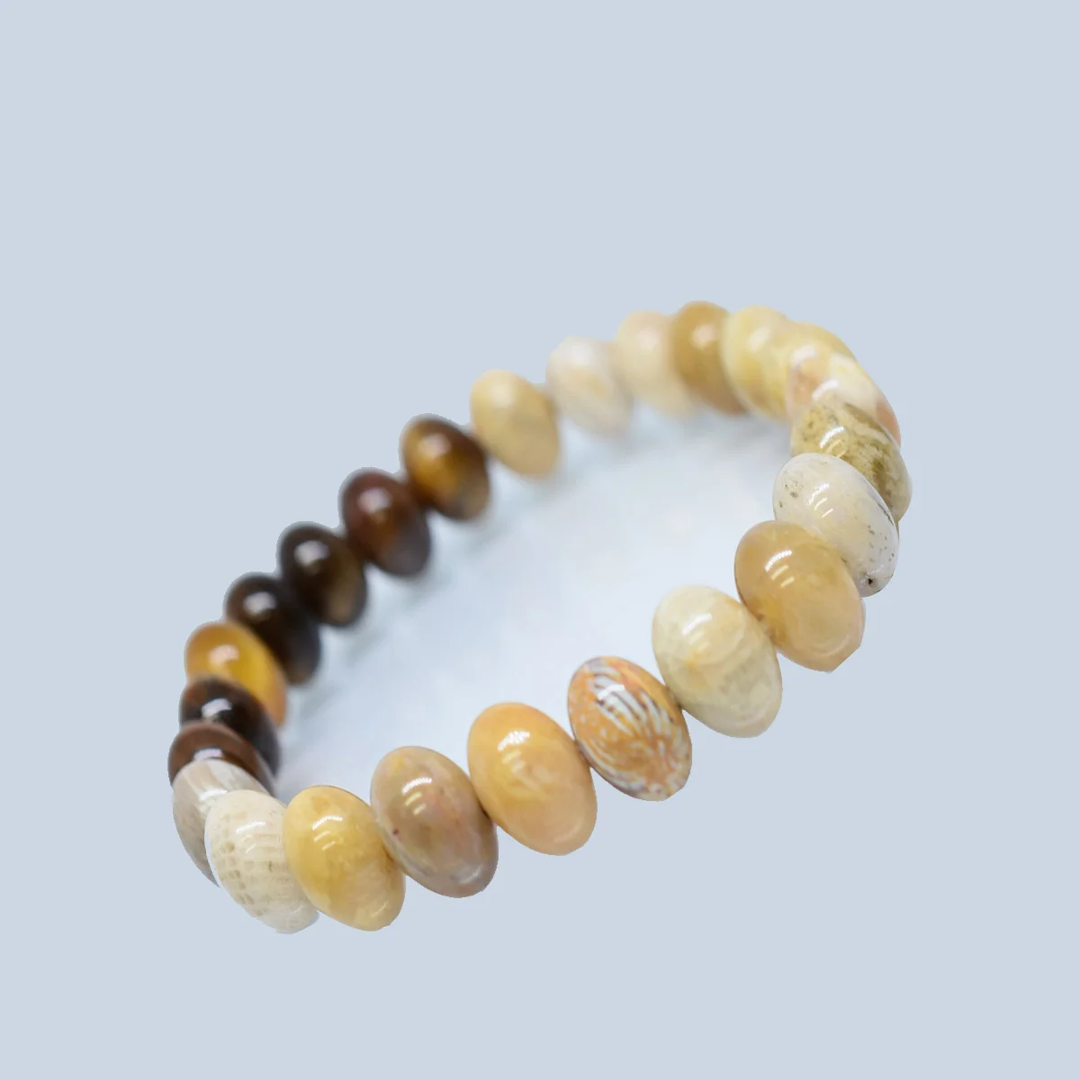 Fossil Coral Gemstone Round Healing Bracelet For Youngsters