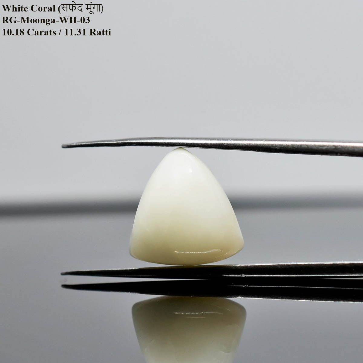 whitecoral-moonga-D0821-rg-wc-italy-03-2 10.18 Carats White Coral ( 11.31 Ratti Safed Moonga ) - Image 2