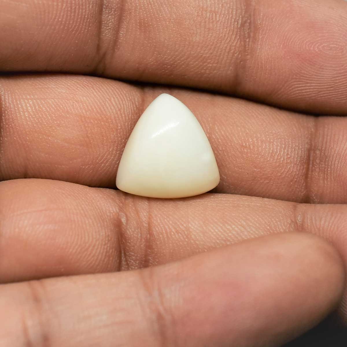 whitecoral-moonga-D0821-rg-wc-italy-03-4 10.18 Carats White Coral ( 11.31 Ratti Safed Moonga ) - Image 4