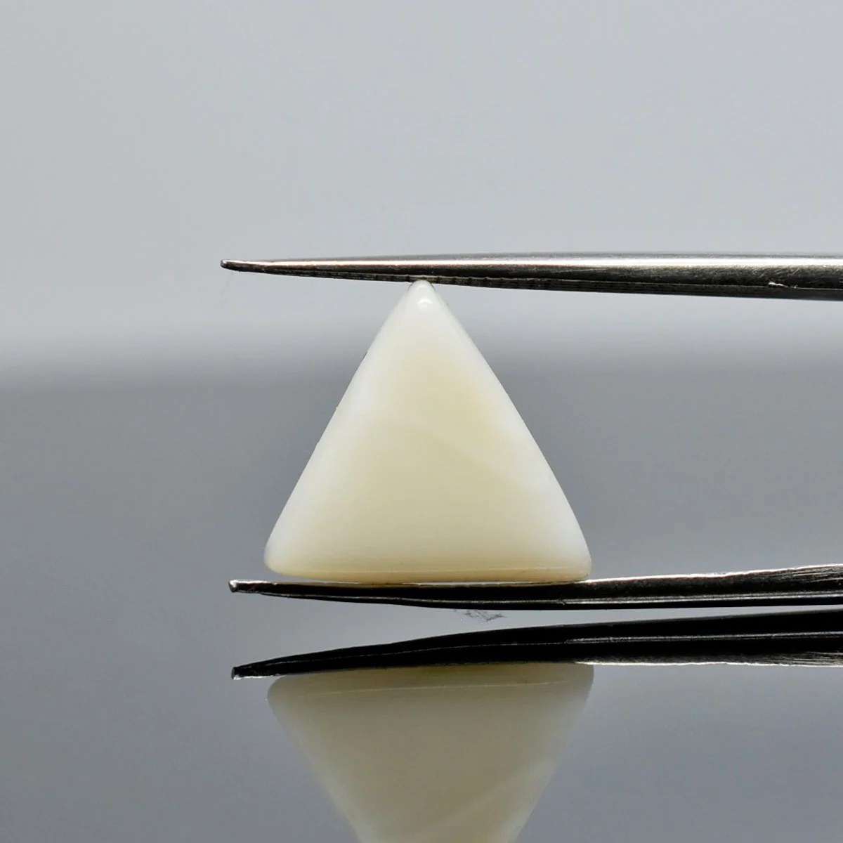 5.89 Carats White Coral ( 6.54 Ratti Safed Moonga ) - Image 3