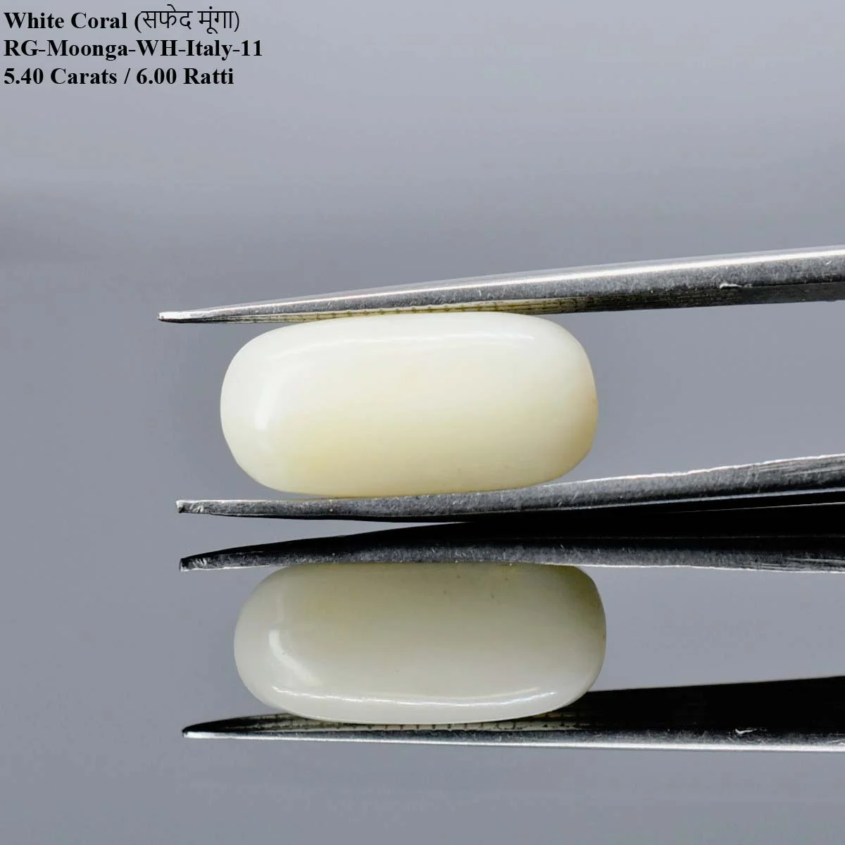 5.4 Carats White Coral ( 6 Ratti Safed Moonga ) - Image 2