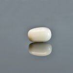 4.1 Carats White Coral ( 4.56 Ratti Safed Moonga )