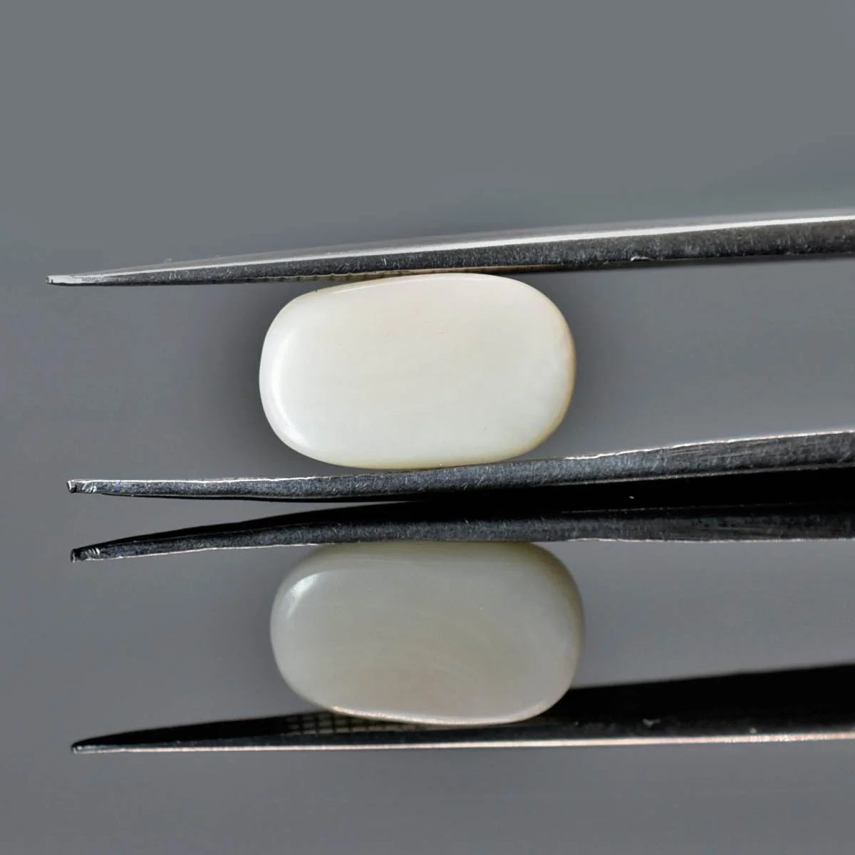 4.1 Carats White Coral ( 4.56 Ratti Safed Moonga ) - Image 3
