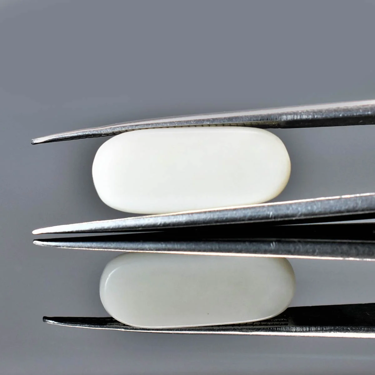 6.06 Carats White Coral ( 6.73 Ratti Safed Moonga ) - Image 3