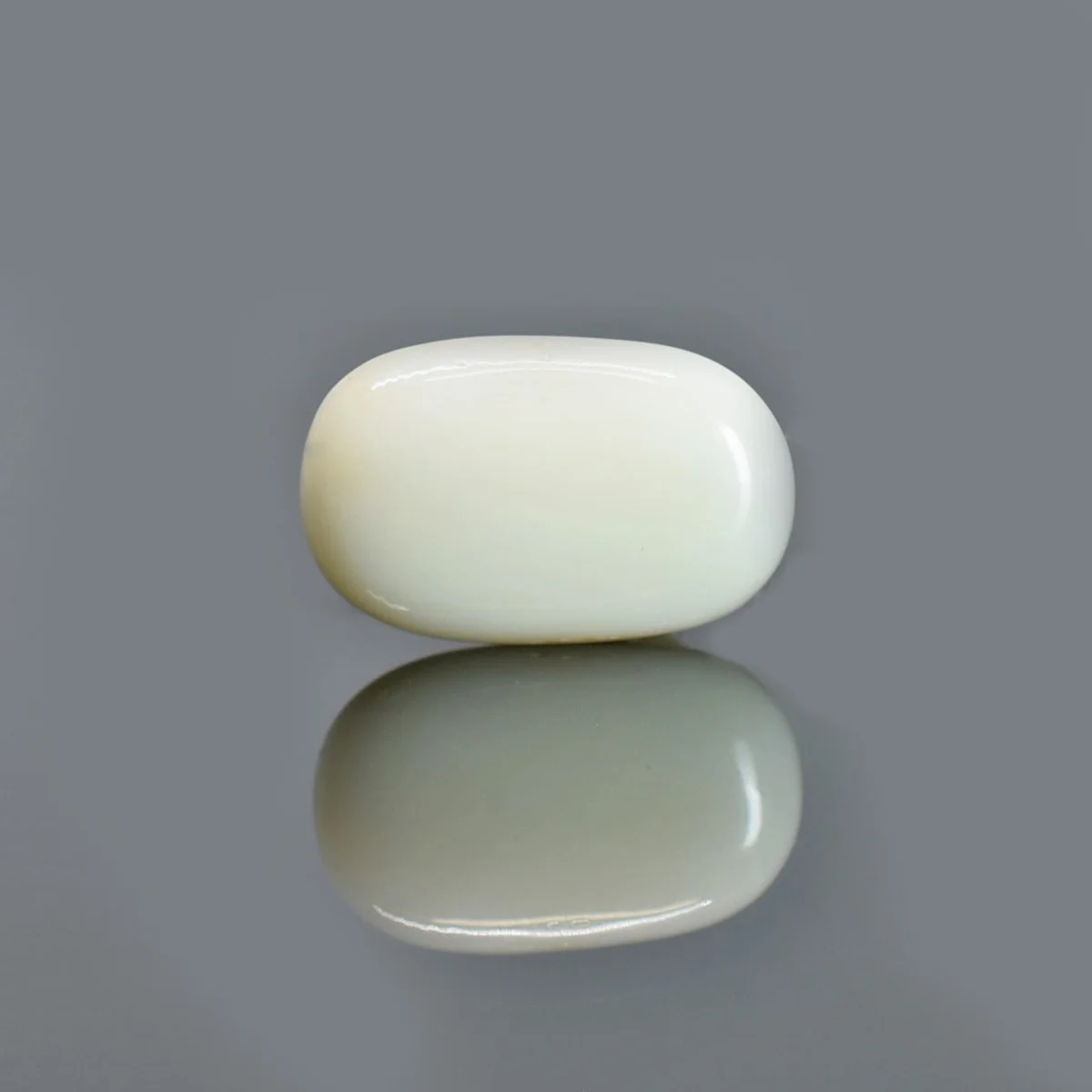 whitecoral-moonga-D0821-rg-wc-italy-19-1 4.53 Carats White Coral ( 5.03 Ratti Safed Moonga ) - Image 1