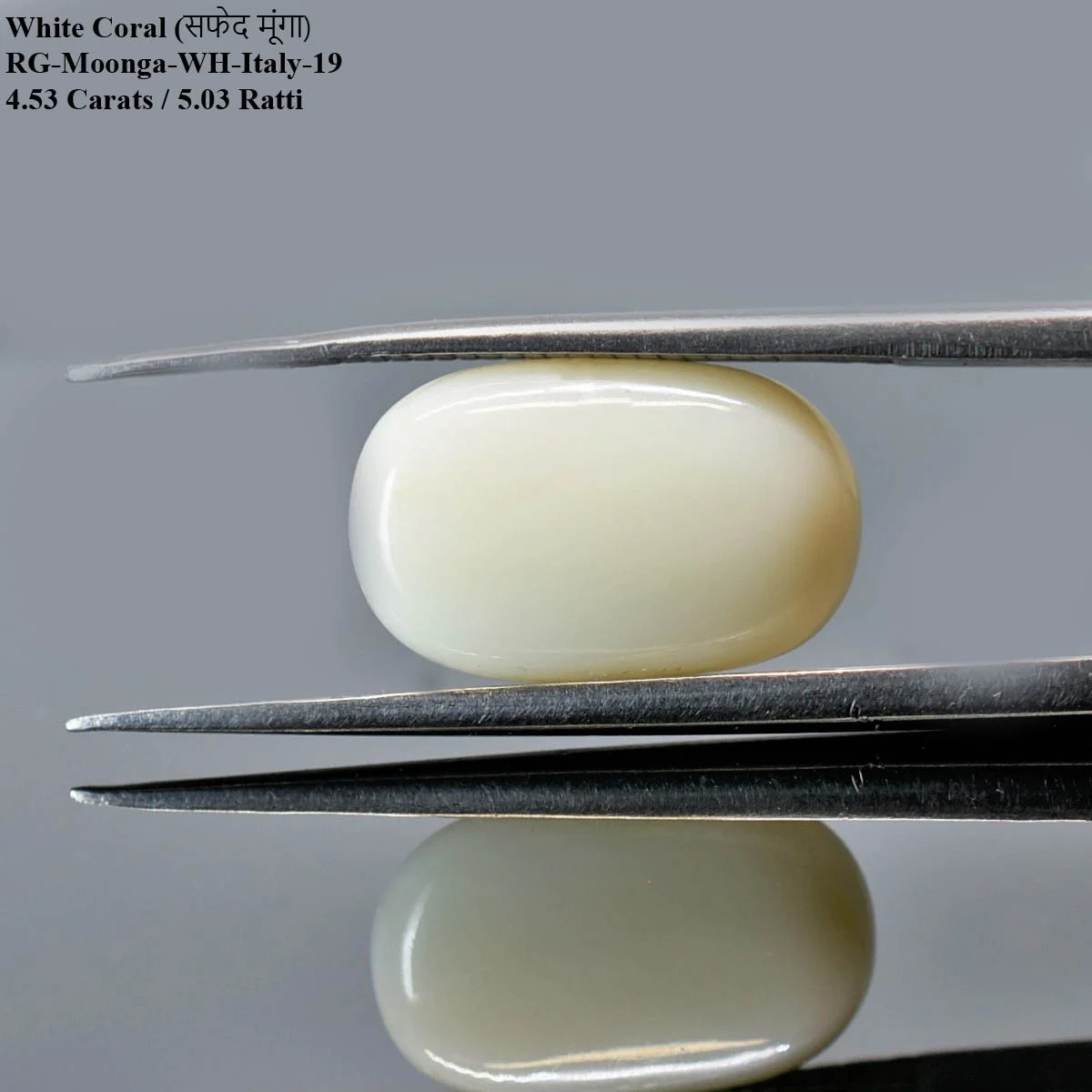 4.53 Carats White Coral ( 5.03 Ratti Safed Moonga ) - Image 2