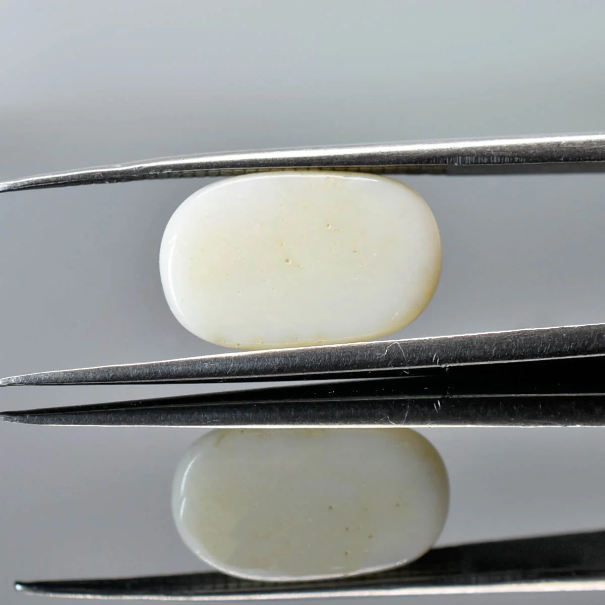 4.53 Carats White Coral ( 5.03 Ratti Safed Moonga ) - Image 3