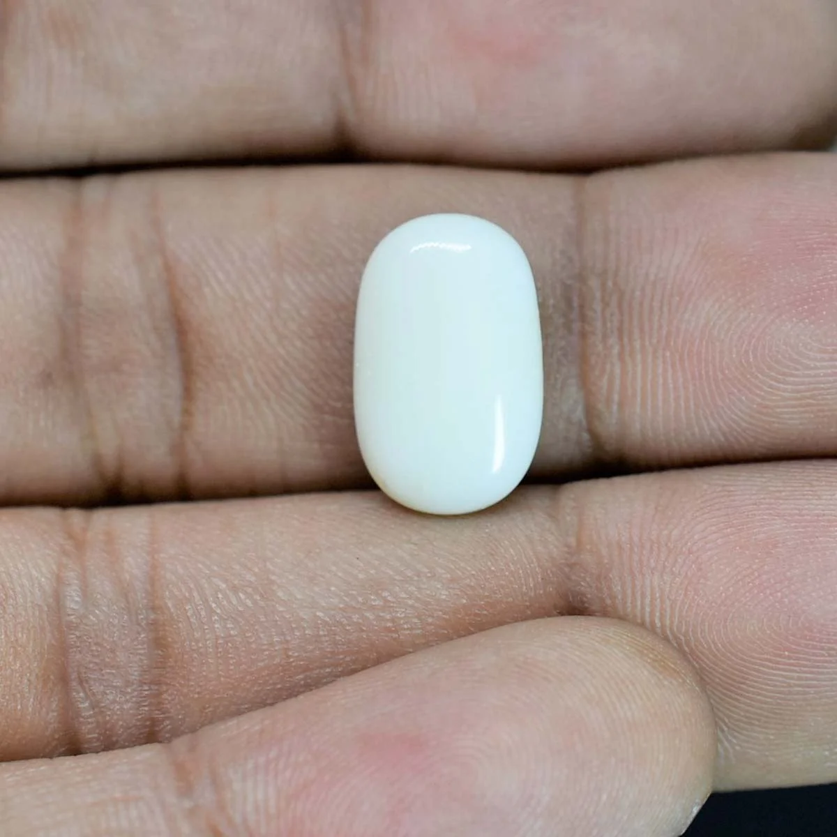 4.53 Carats White Coral ( 5.03 Ratti Safed Moonga ) - Image 4