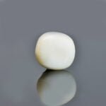 7.08 Carats White Coral ( 7.87 Ratti Safed Moonga )